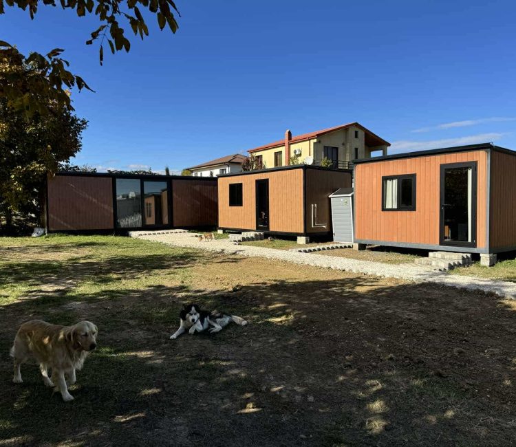 462545554_960499389445908_4893726873383760954_n